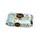 大王製紙 エリエール キレキラ! トイレクリーナー シトラスミントの香り 詰替用 10枚×2パック 送料無料