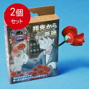 2個まとめ買い ディーピーグループ 今日からマジシャン 指先から薔薇 メール便送料無料 × 2個セット