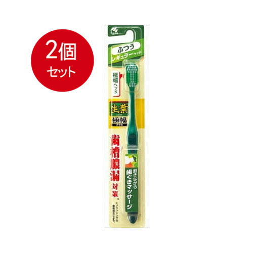 2個まとめ買い 小林製薬 生葉極幅ブラシ ふつう メール便送料無料 × 2個セット オーラル 歯ブラシ