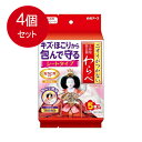 4個まとめ買い 白元アース ニオイがつかない 人形用防虫剤 わらべ シートタイプ 5枚入送料無料 ×4個セット