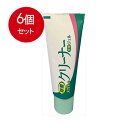6個まとめ買い ソフト99コーポレーション メガネのクリーナー 快速ジェル メール便送料無料 × 6個セット 眼鏡・コンタクト用品 眼鏡用品