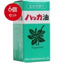 6個まとめ買い 天然 北見ハッカ油 ビン 20mL 送料無料 × 6個セット