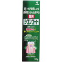 小林製薬 薬用 シコンコート 110g オーラル 歯磨き