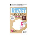 ホーユー ビゲン Pカラー カエ2RB