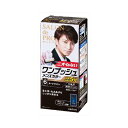 ダリヤ サロンドプロ ワンプッシュメンズカラー 6 化粧品 毛染め