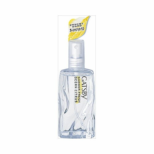 Other - マンダムGBシャワーフレッシュオーシャンシトラス60ML　送料無料