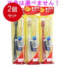 2個まとめ買い エビス プレミアムケア トラベルセット メール便送料無料 × 2個セット濃密微細泡歯磨き粉