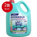 2個まとめ買い 花王業務用 キッチンハイター 5Kg送料無料 × 2個セット