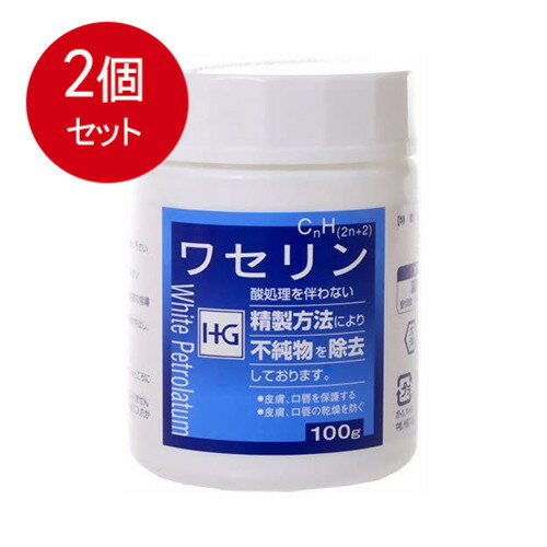 2個まとめ買い 大洋製薬 皮膚保護　ワセリンHG　100g送