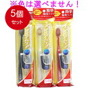 5個まとめ買い エビス プレミアムケア トラベルセット メール便送料無料 × 5個セット 濃密微細泡歯磨き粉(4)