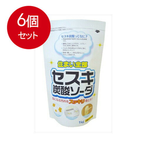 6個まとめ買い セスキ炭酸ソーダ　大 1kg送料無料 × 6個セット