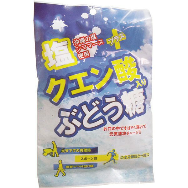 大丸本舗 塩+クエン酸入り ぶどう糖 2g×20粒入　メール便送料無料