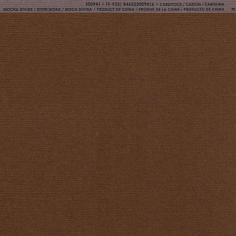 American Crafts/ꥫ󥯥եȡ Bazzill Paper Хڡѡ FOURZ 300941 Mocha Divine ⥫ǥ (4108010)