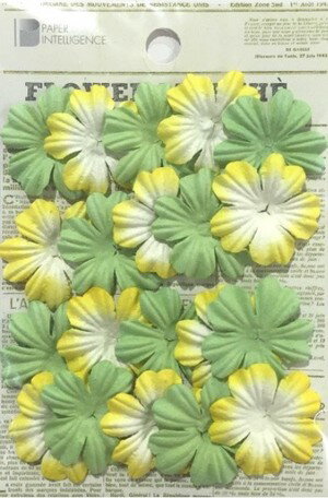 【Paper Intelligence/ペーパーインテリジェンス】 フラワーマルシェ フラワーペタル グリーンイエロー(4108602)