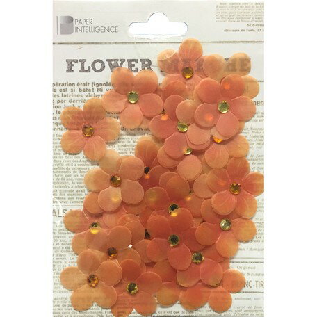 【Paper Intelligence/ペーパーインテリジェンス】 フラワーマルシェ ヴェラムビジュー オレンジ(4108610)