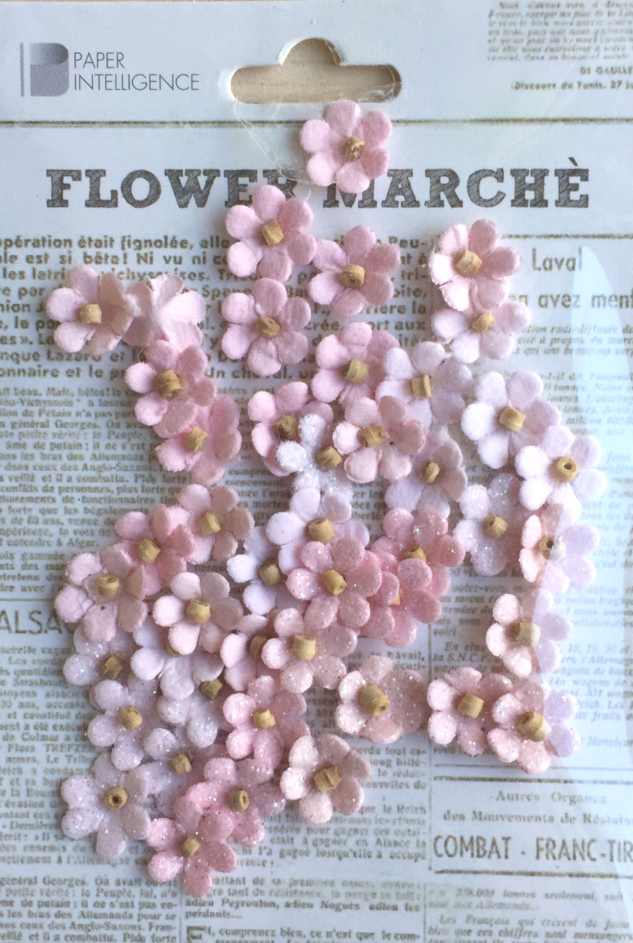 Paper Intelligence/ڡѡƥꥸ󥹡 եޥ륷 ޥڥ ٥ӡԥ󥯡4107670