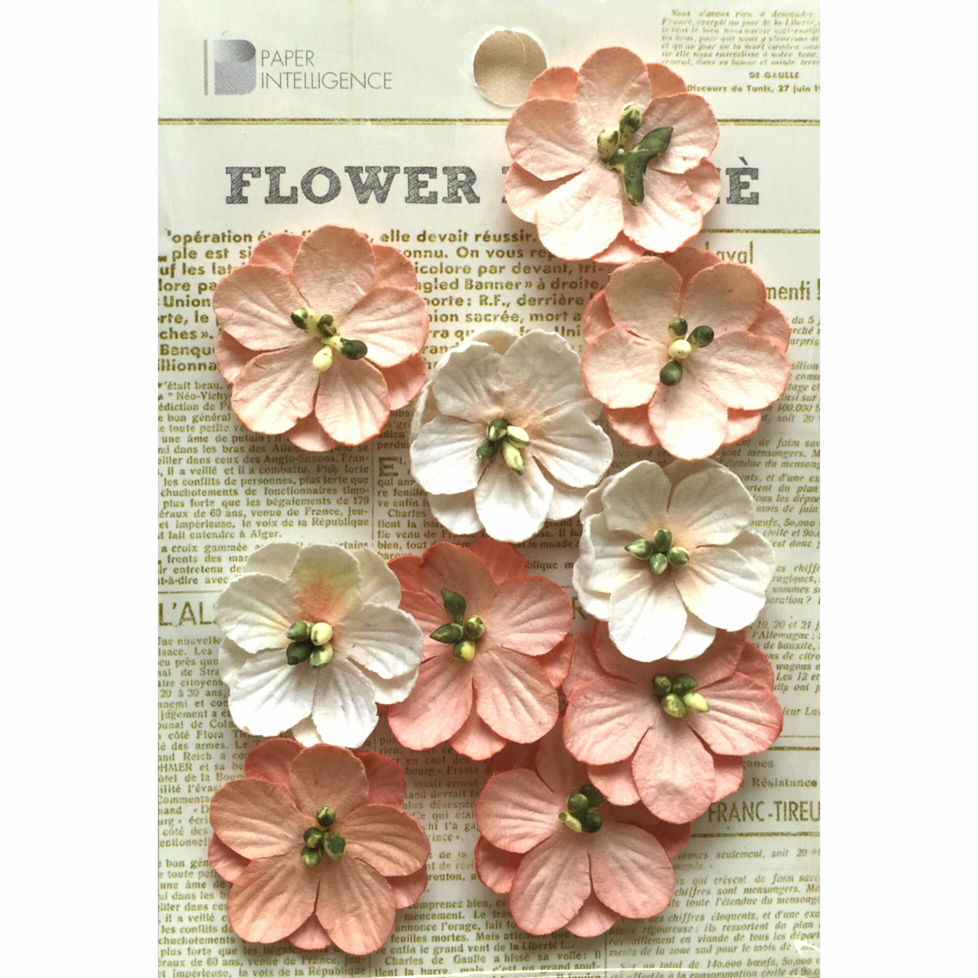 Paper Intelligence/ڡѡƥꥸ󥹡 եޥ륷 ե ԡ4108836