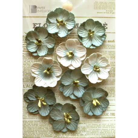 【Paper Intelligence/ペーパーインテリジェンス】 フラワーマルシェ フローラル ブルー(4108832)