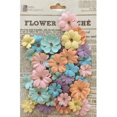 【Paper Intelligence/ペーパーインテリジェンス】 フラワーマルシェ ステイシーパステルアソート(4109615)