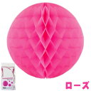 【Excel Point/エクセルポイント】 ハニカムボール 20cm 2個入り ローズ (4110254)