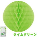 【Excel Point/エクセルポイント】 ハニカムボール 20cm 2個入り ライムグリーン (4110253)