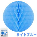 【Excel Point/エクセルポイント】 ハニカムボール 10cm 2個入り ライトブルー (4110246)