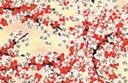 【Paper Intelligence/ペーパーインテリジェンス】 友禅紙 全判サイズ 00406/5588 桜柄(4100180)