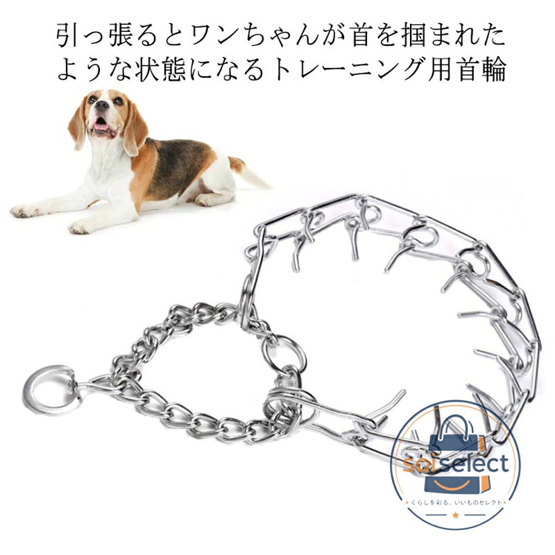 引っ張り防止のしつけに 犬 引っ張り防止 首輪 しつけ 訓練 トレーニング 首輪 イヌ いぬ しつけ用カラー チェーンカラー トレーニング首輪ひっぱり防止首輪 スパイクチェーン 強い引っ張り ドッグカラー 訓練 しつけ 小型犬 中型犬 大型犬 犬用品 お散歩 安心 安全