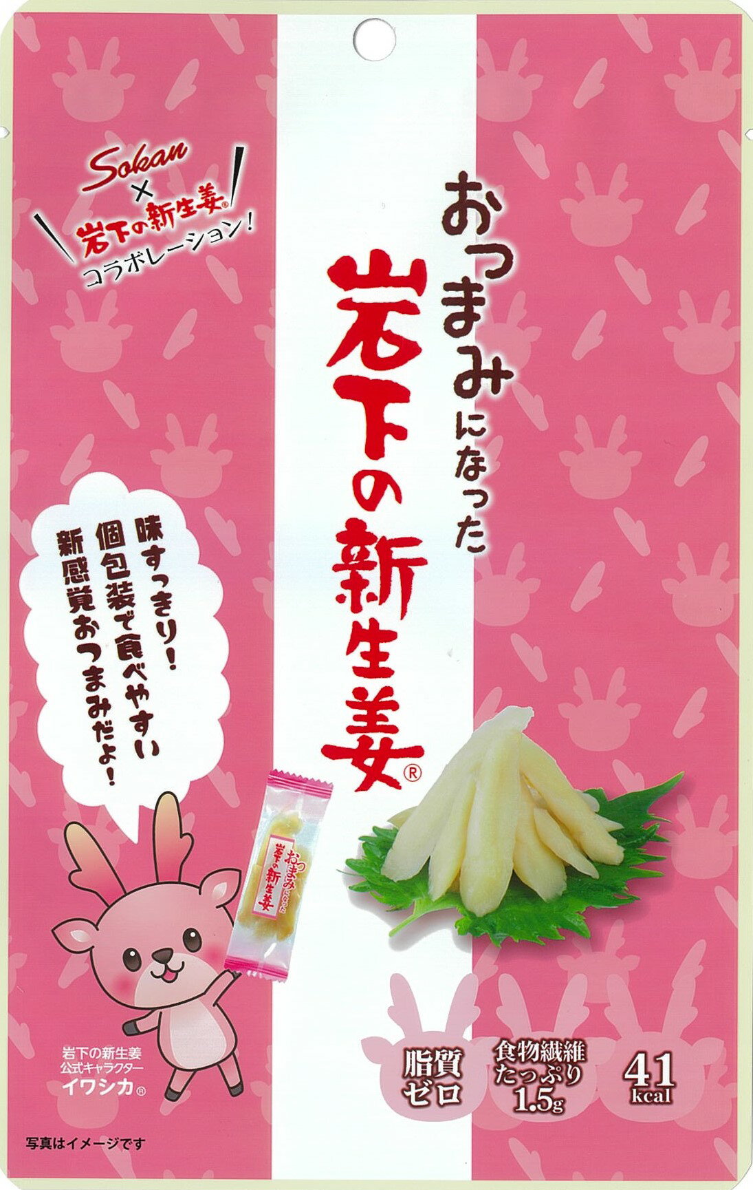 【公式】おつまみになった岩下の新生姜 47g×10入 470g 素材菓子 壮関 公式 送料無料 お取り寄せ まとめ買い おつまみ おやつ すっきり 新食感 個包装 シャキシャキ ※キャンセル不可商品※