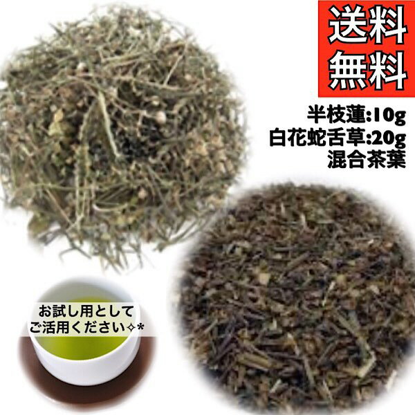 【ハンシレン/ビャッカジャゼツソウ/30g入り/お試し用】健康茶/薬膳茶/薬膳/半枝蓮/白花蛇舌草/漢方茶/お試し用/2回分