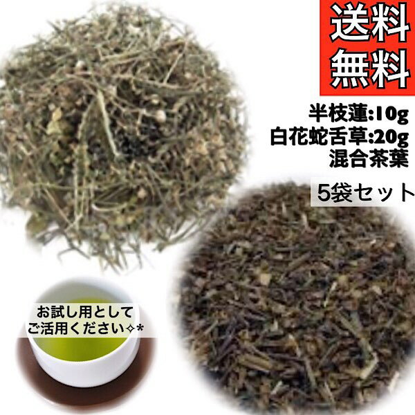 【ハンシレン/ビャッカジャゼツソウ/30g入り/5袋セット】健康茶/薬膳茶/薬膳/半枝蓮/白花蛇舌草/漢方茶