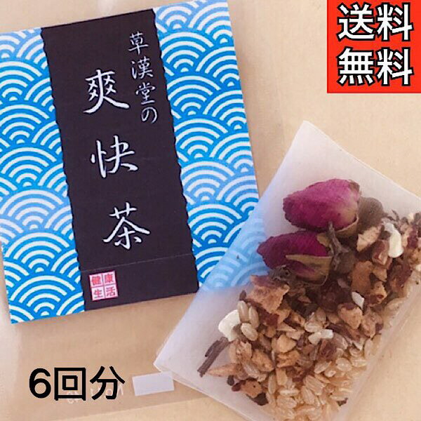 【草漢堂の爽快茶/6包入り】健康茶/薬膳茶/漢方茶/ブレンドティー/ハーブティー/ハッカ/マイカイカ