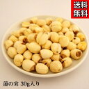 クーポン配信中【蓮の実/30g入り】ハスの実 蓮実 はすのみ 和漢食材 ハスノミ 蓮子 蓮肉 漢方送料無料 薬膳 材料 薬膳茶