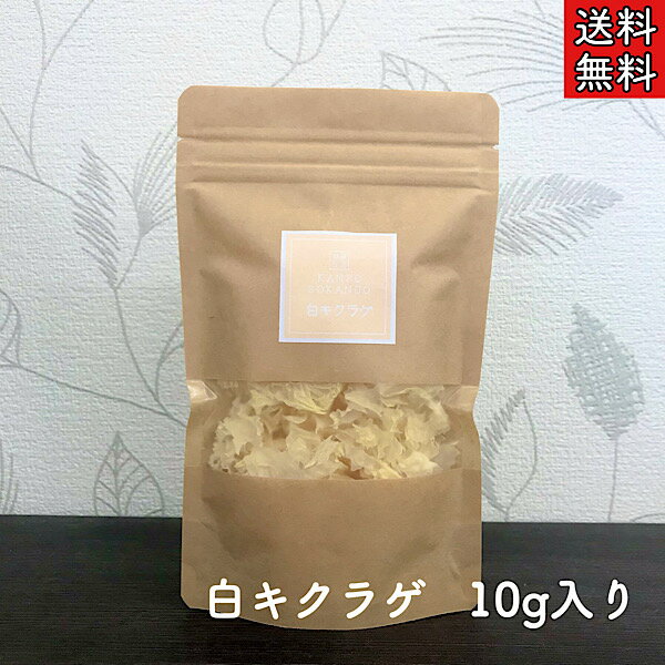 【白木耳/白キクラゲ/生/10g】シロキクラゲ/キクラゲ/木耳/漢方/生薬/薬膳食材/薬膳/薬膳スープ/薬膳鍋/薬膳デザート/白きくらげ/きくらげ