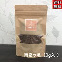 【南蛮の毛/ナンバンゲ/10g】南蛮毛/なんばんげ/とうもろこしのひげ/薬膳茶/漢方茶/漢方/生薬/薬膳食材/薬膳