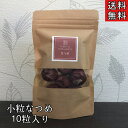クーポン配信中【なつめ/生/10粒入り】/ナツメ/ドライフルーツ/サムゲタン/参鶏湯/火鍋/和漢食材/漢方薬局のなつめ/棗/和漢茶/ブレンドティー/健康茶/お茶...