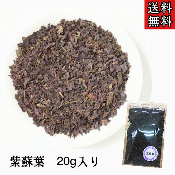 【紫蘇葉/20g】紫蘇/蘇葉/シソ/赤紫蘇/紫蘇ジュース/薬膳酒/薬膳茶/薬膳食材/生薬/漢方/健康茶/漢方茶/リラックス/花粉症