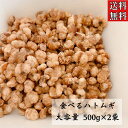 クーポン配信中【そのまま食べるハトムギ/500g入り×2袋】大容量 国内製造 無塩 美容食 保存料無添加 無着色 はとむぎ 健康茶 食べる はと麦 ハト麦 グラ...