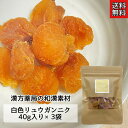 クーポン配信中◎【そのまま食べて美味しい!白色リュウガンニク40g入り×3袋】高品質 無漂白 竜眼 竜眼肉 リュウガン 中華食材 健康茶 りゅうがん 桂園 干龍...