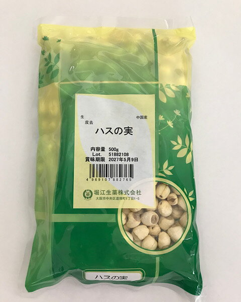 【蓮の実/生/500g/堀江生薬】ハスの実/レンニク/蓮肉/ハス/蓮/健康茶/はすのみ/お茶/和漢食材/和漢茶
