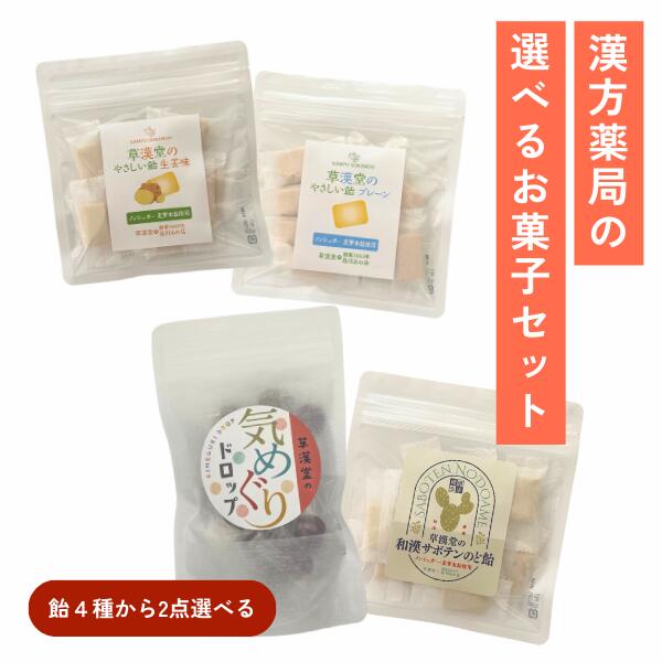 【選べる2点の飴セット◎漢方薬局の飴シリーズ】ノンシュガー 水飴 サボテンのど飴 島川あめ店 やさしい飴 気めぐりドロップ 漢方薬局のお菓子