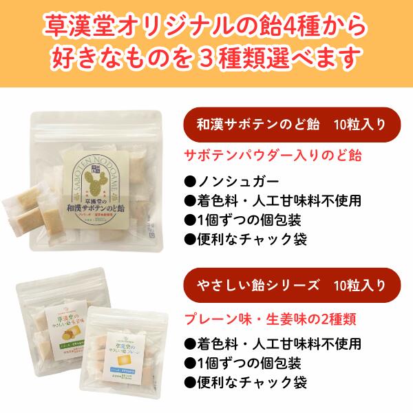 【選べる3点の飴セット◎漢方薬局の飴シリーズ】ノンシュガー 水飴 サボテンのど飴 ...