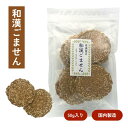 新商品【和漢ごません】煎餅 せんべい ごませんべい お菓子 和菓子 送料無料