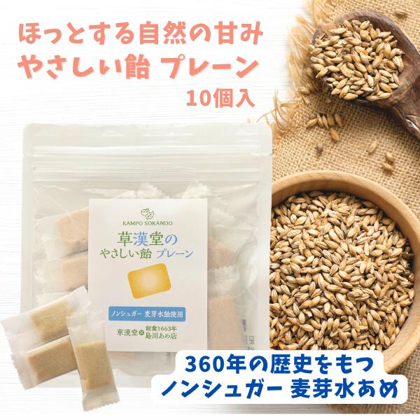 新商品【草漢堂のやさしい飴/プレーン味】国産 ノンシュガー 着色料不使用 人工甘味料不使用 水飴 島川あめ店 個包装 美味しい 飴 おやつ 麦芽水飴 日本産