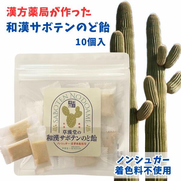 【和漢サボテンのど飴】ノンシュガー 着色料不使用 人工甘味料不使用 水飴 島川あめ店 個包装 美味しい 飴 おやつ サボテン