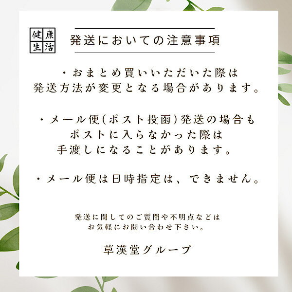 【タラノキ/刻み/500g/大晃生薬】タラの芽...の紹介画像3