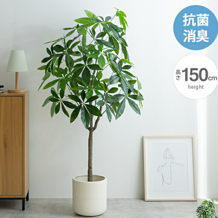 【高さ150cm】観葉植物 光触媒人工観葉植物 パキラ リアル 植物 フェイク グリーン パークチップ 抗菌 消臭 水やり不要 送料無料 インテリア