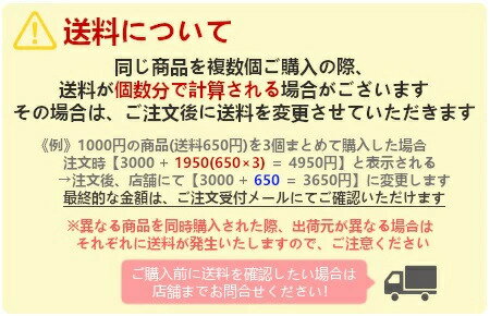 球形コンパス No.880【現場作業 キャンプ アウトドア オイル式】 2