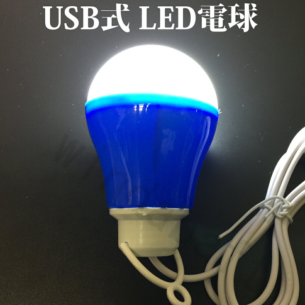 訳有り品 LED電球 USB電球 LEDライト 電球型 LEDライト 低消費電力なのに超明るい！ 訳有品 場所をとらないミニサイズで防災・アウトドア用に最適【メール便不可】 USBライト なので手軽に持ち運んでスマホ用モバイルバッテリーで使える！