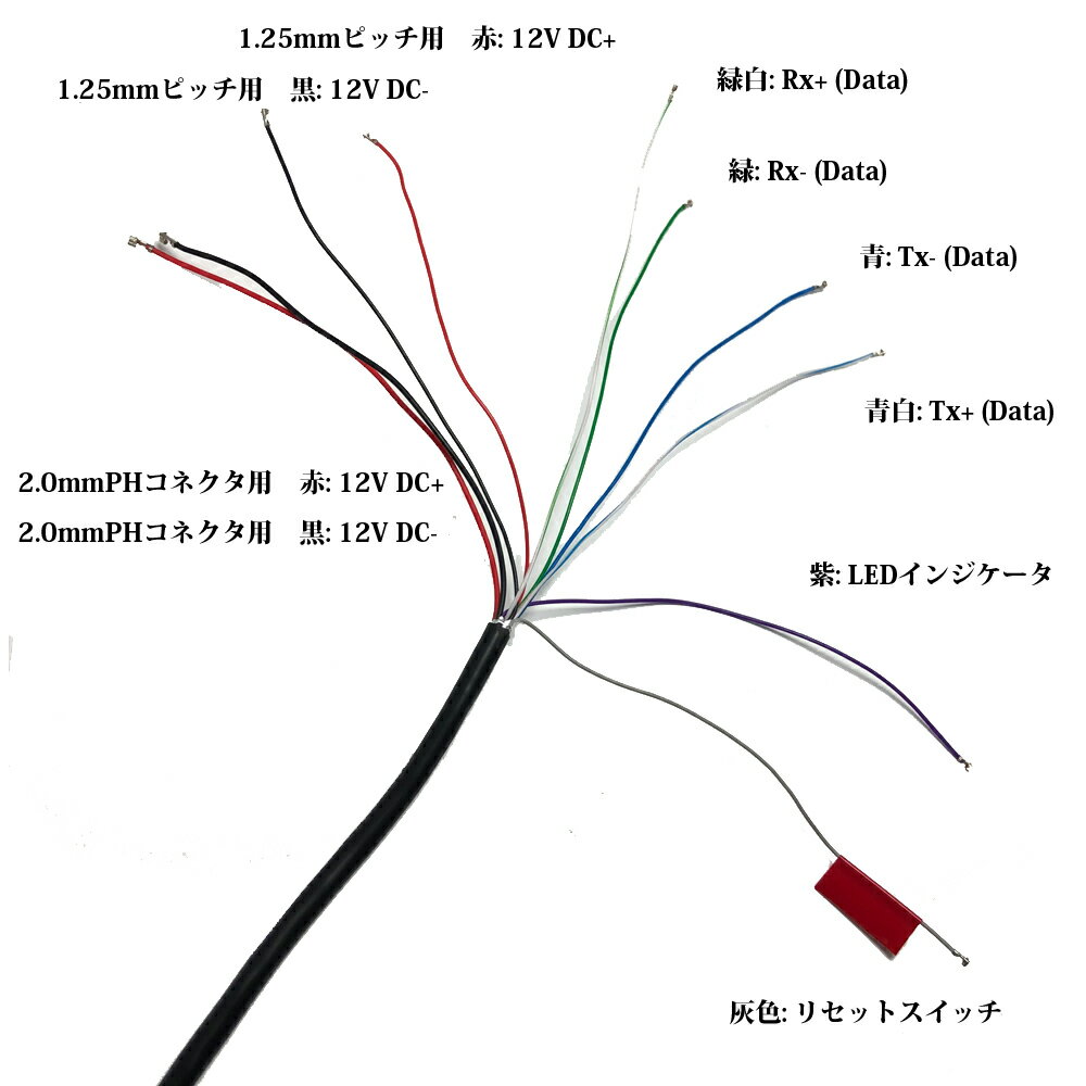 IP����� �ȹ��� �����å��� 10�� �����֥� LAN��ʬ �ɿ���³���å��� IP�����⥸�塼���� ������֥� ���ϻָ� �����μ�����������������